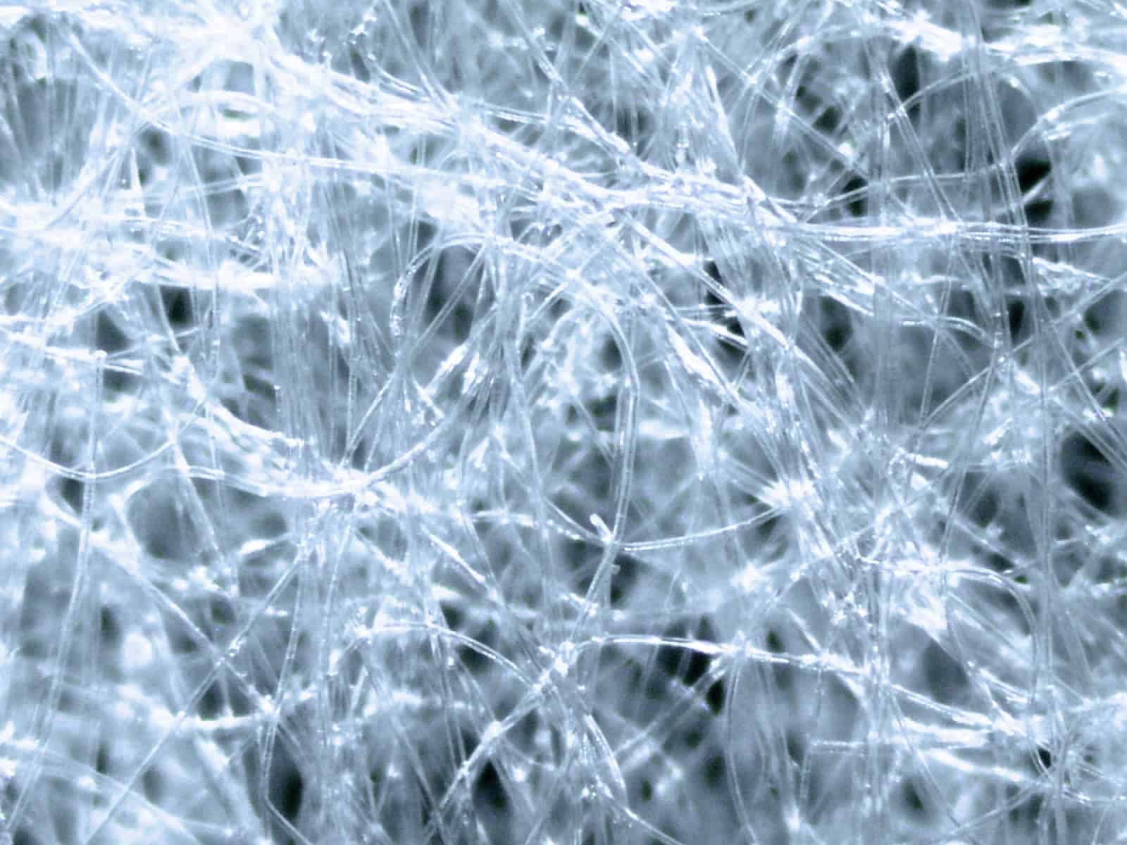 Polyester/cellulose blend under a microscope